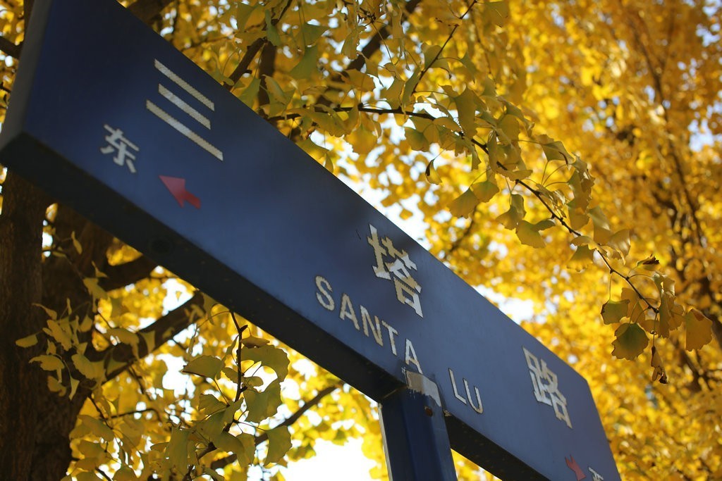 时已立冬，浙些美景再错过就要等明年了！