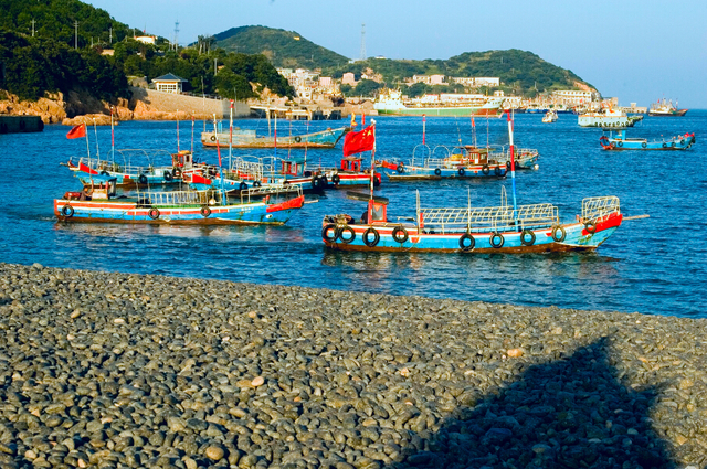 时已立冬，浙些美景再错过就要等明年了！