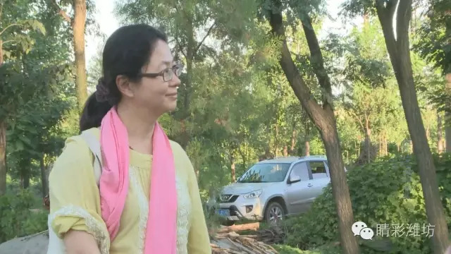 诸城派古琴阳关三叠,古琴诸城派都有什么曲子