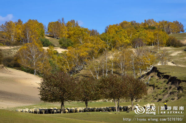 金秋坝上旅游摄影全攻略,坝上透风沟风景图片