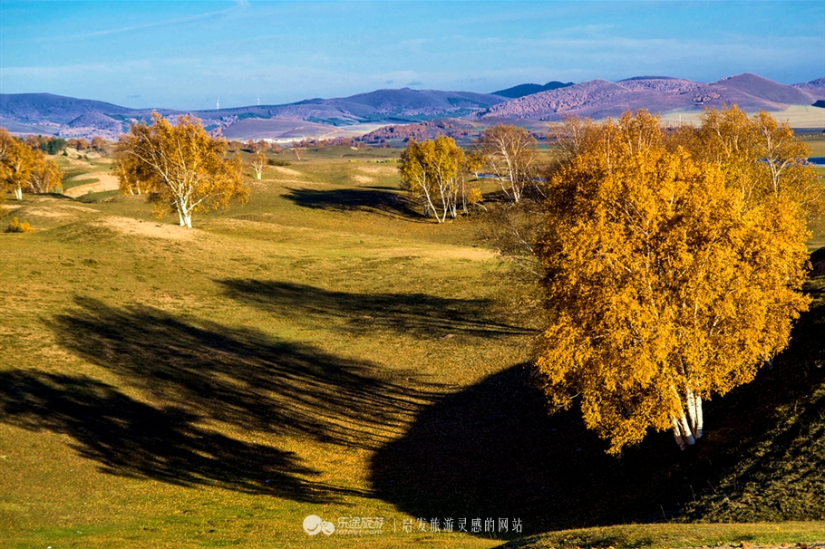 秋季到塞罕坝怎么样,秋天的童话坝上金秋
