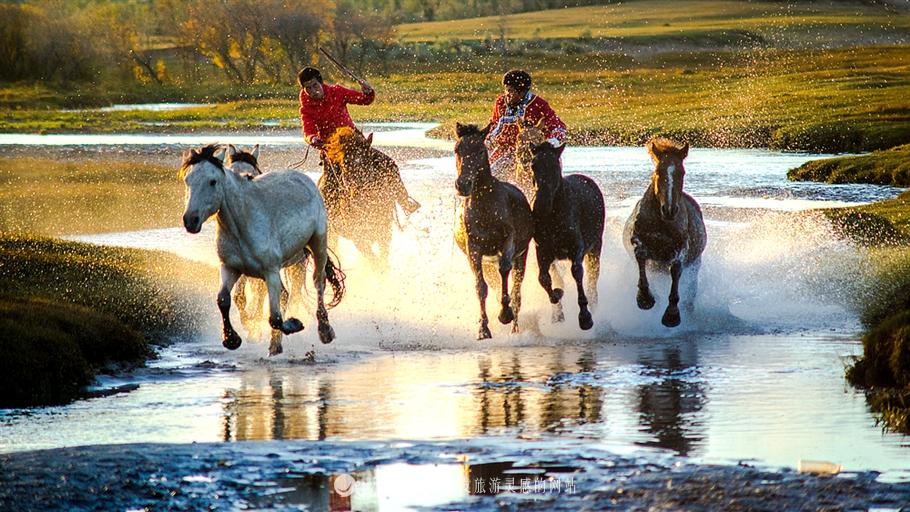 秋季到塞罕坝怎么样,秋天的童话坝上金秋