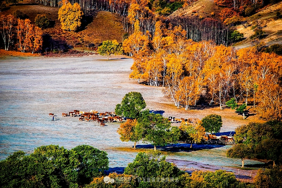 秋季到塞罕坝怎么样,秋天的童话坝上金秋