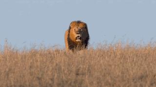 谈资重要吗,谈资本质上是什么