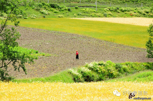 稻城亚丁游玩攻略需要准备什么,稻城亚丁攻略注意事项