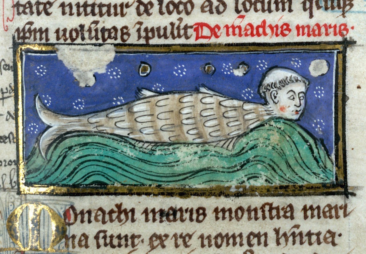 恐怖故事海和尚,海怪的恐怖故事