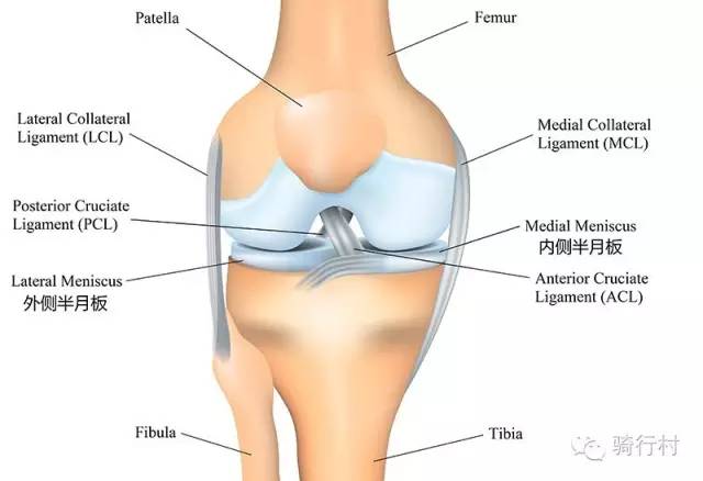 骑行膝盖内侧疼痛,骑行可以治疗膝盖疼痛吗