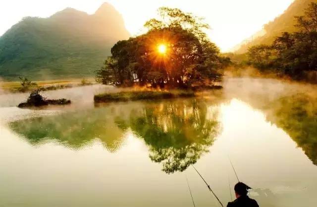 广西德保枫叶什么时候去最好看,2018年德保枫叶最佳观赏期