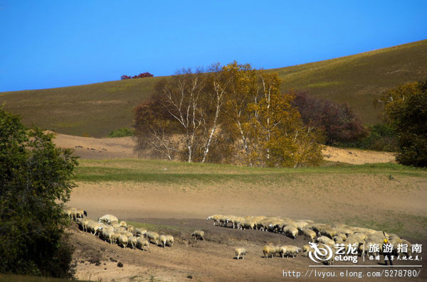 金秋坝上旅游摄影全攻略,坝上透风沟风景图片