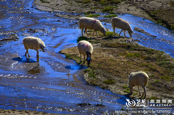 金秋坝上旅游摄影全攻略,坝上透风沟风景图片