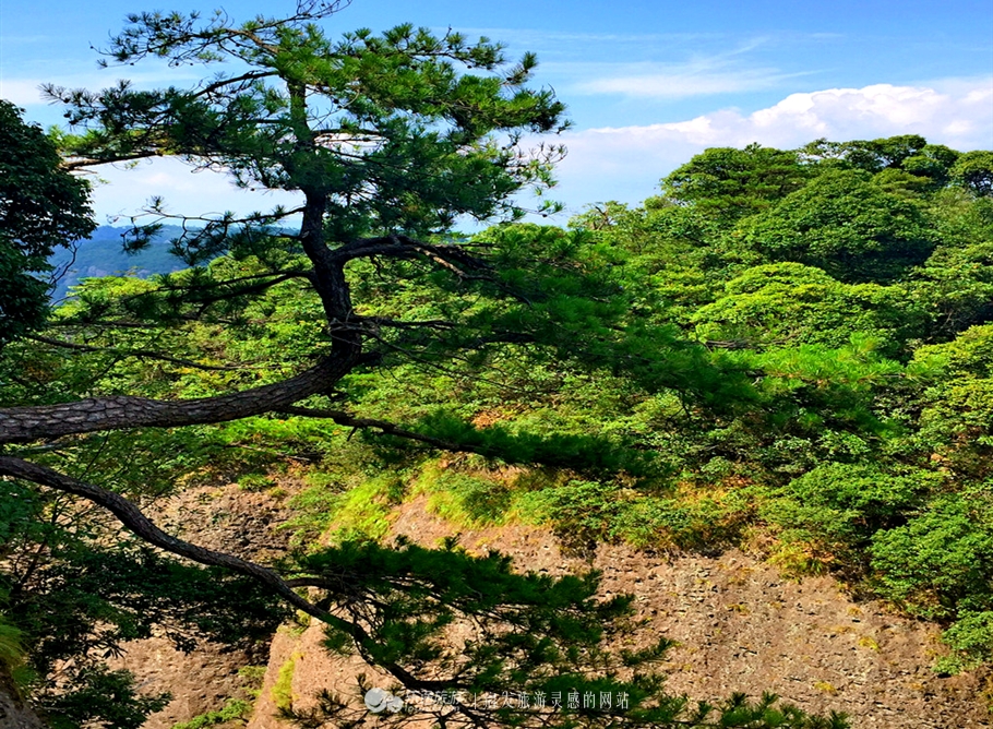 神仙居的景色真的很美,神仙居山水美如画