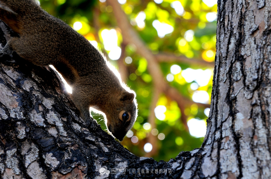 璐甸槼鐑煶spa,娣卞湷鐑煶spa