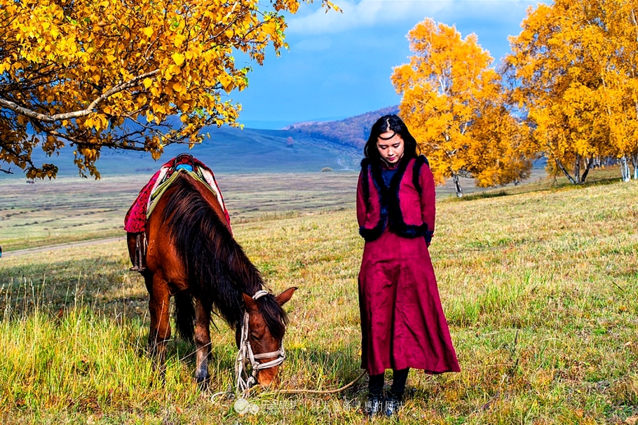 秋季到塞罕坝怎么样,秋天的童话坝上金秋