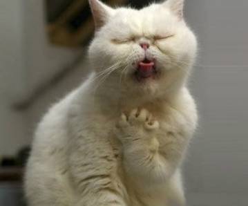 如果觉得国庆7天短，接下来你会知道7天有多长