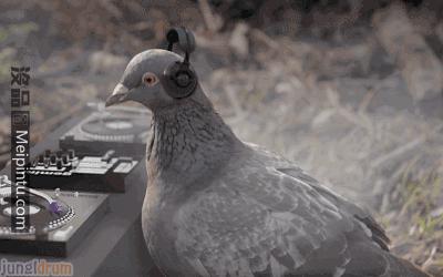 如果觉得国庆7天短，接下来你会知道7天有多长