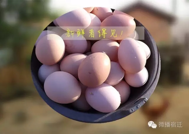 宿迁有什么特产最出名,京东农特产品有哪些