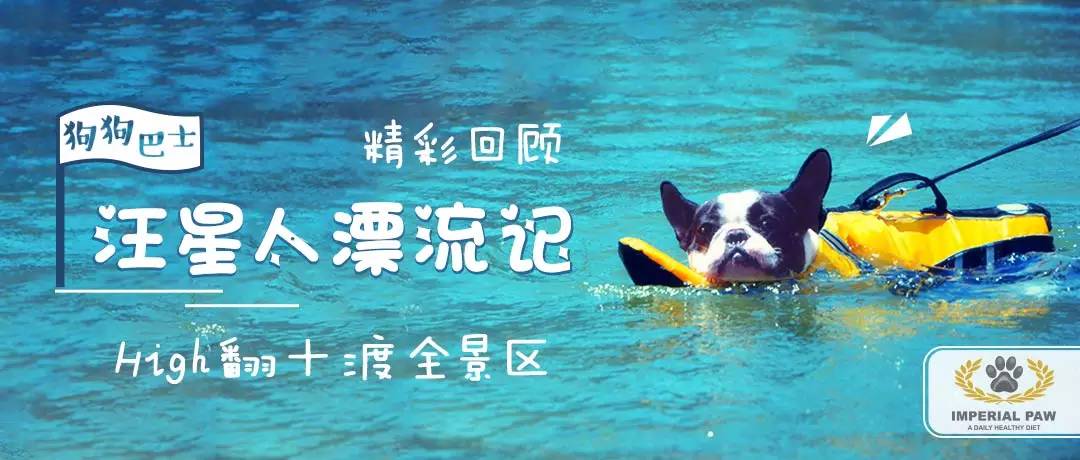 嬉水节巡游活动现场,嬉水节活动总结