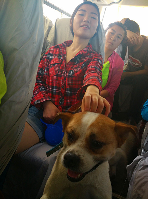 嬉水节巡游活动现场,嬉水节活动总结