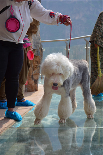 嬉水节巡游活动现场,嬉水节活动总结