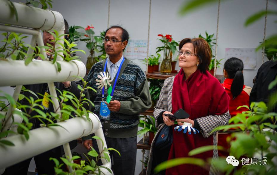 一分钟读懂健康中国,中国第十四届全民健康日