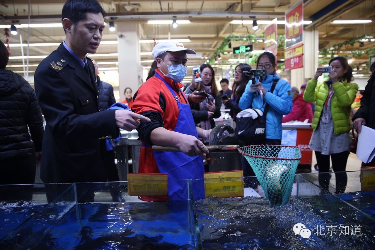 真假？！据说超市里活又游回来了！