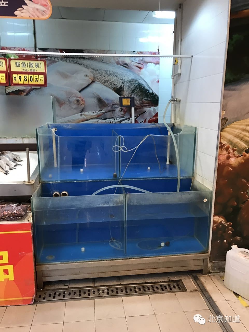 真假？！据说超市里活又游回来了！