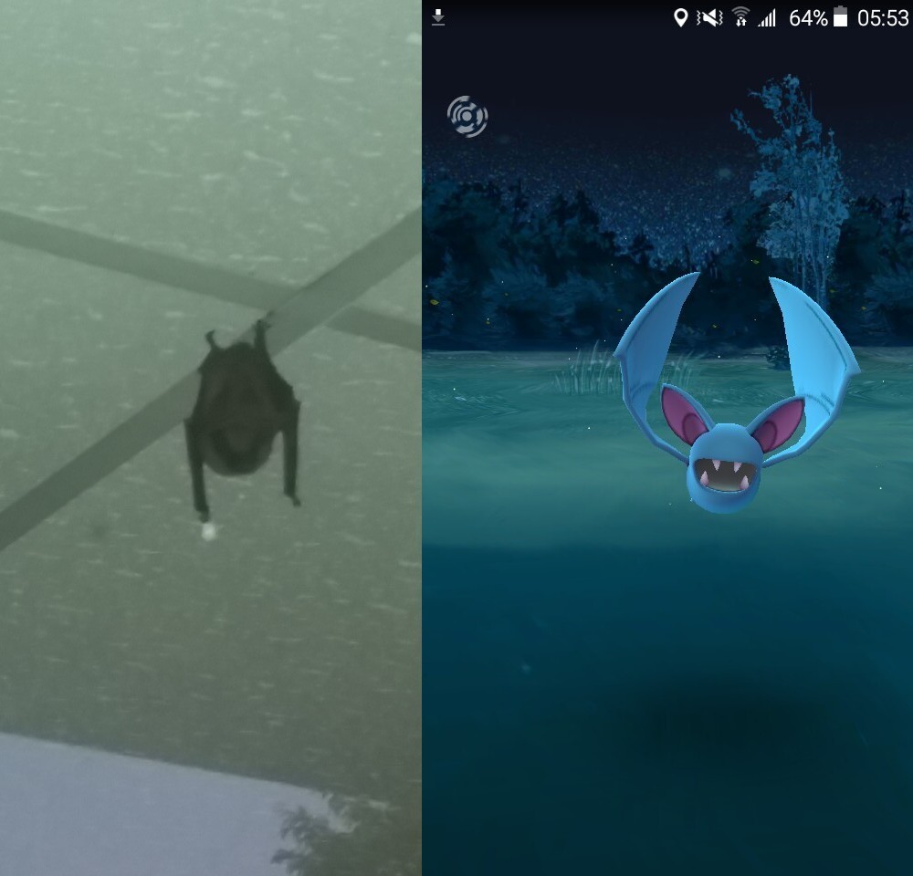 精灵宝可梦对比现实的精灵宝可梦,精灵宝可梦和现实融合小说