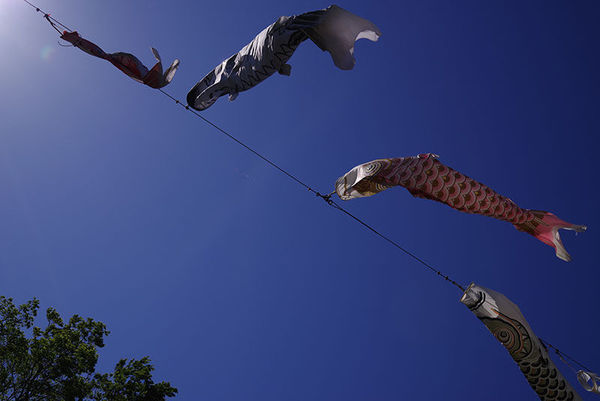 宾得k-1,宾得28-135镜头怎么样