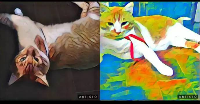 最好的照片处理app,十大照片软件