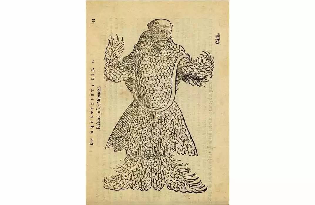 恐怖故事海和尚,海怪的恐怖故事