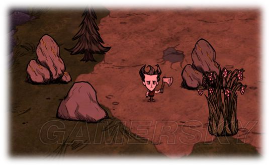 饥荒威尔逊开局,饥荒威尔逊生存