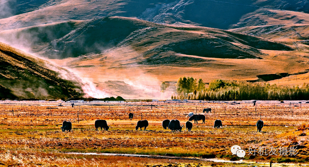 稻城亚丁游玩攻略需要准备什么,稻城亚丁攻略注意事项