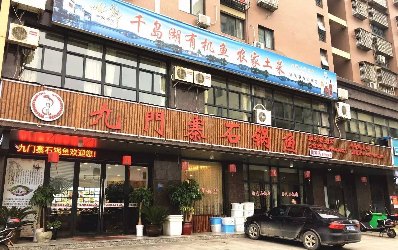 这几条千岛湖来的鱼厉害了，要在浦江干一番大事！