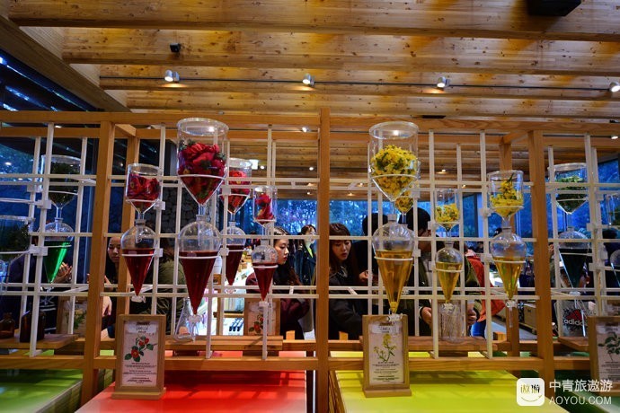 济州岛一日游必买清单,济州岛10大必玩景点