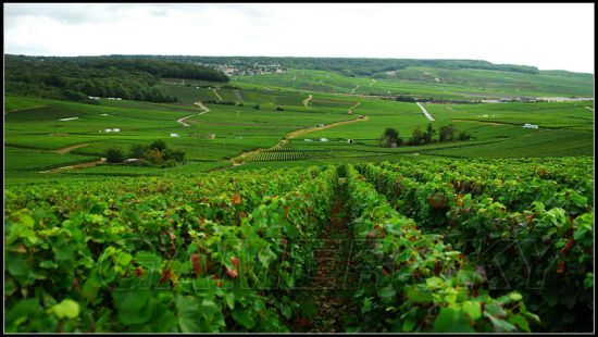 战地1有巨炮的是哪个地图,战地五地图原型