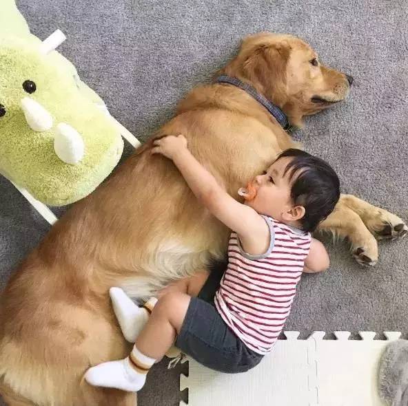 又软又舒服的可爱抱枕,让你幸福感爆棚的可爱抱枕