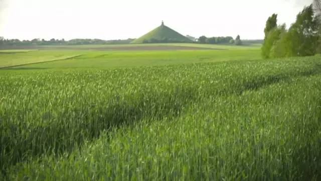 bbc顶级纪录片推荐目录,哪里可以看到bbc实时新闻