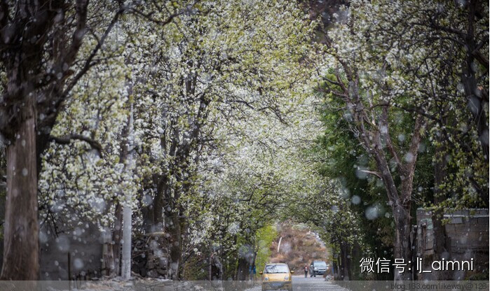 一年12个月每个月天数有什么不同,一年12个月每个月都有多少天