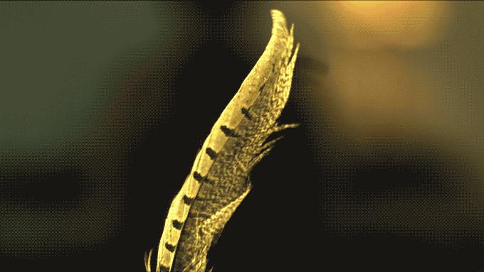 累、不爽、压力山大，这些产品给你满满的治愈！