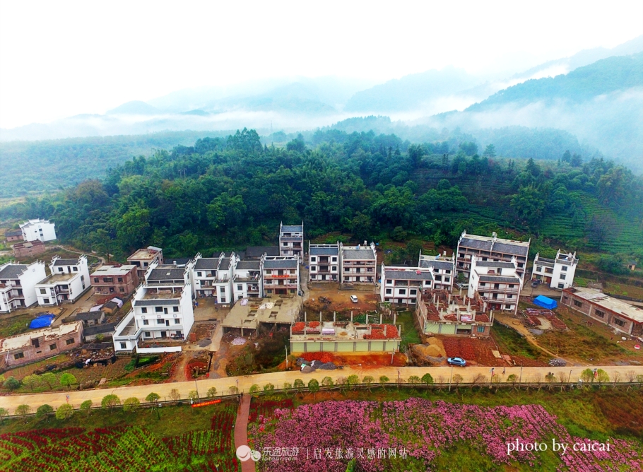 黄姚花海风景图,黄姚花海景区航拍