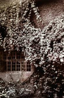 「花园集分享」野风系澳大利亚园林景观设计简析