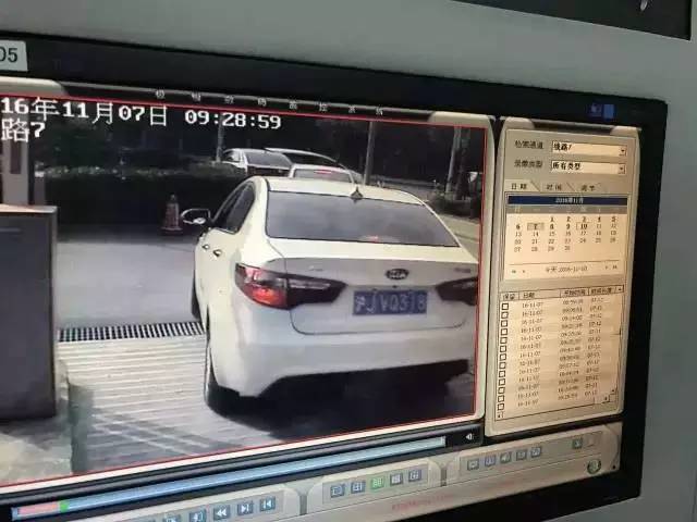 「自掘坟墓」“外牌”秒变“沪牌”上海张江一硕士女白领被拘留