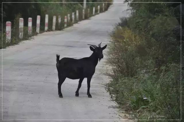 南宁市内空气好的地方,南宁周边郊外哪里好玩