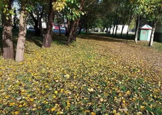 如果觉得国庆7天短，接下来你会知道7天有多长