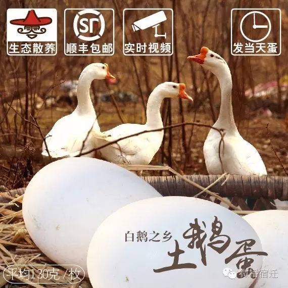 宿迁有什么特产最出名,京东农特产品有哪些