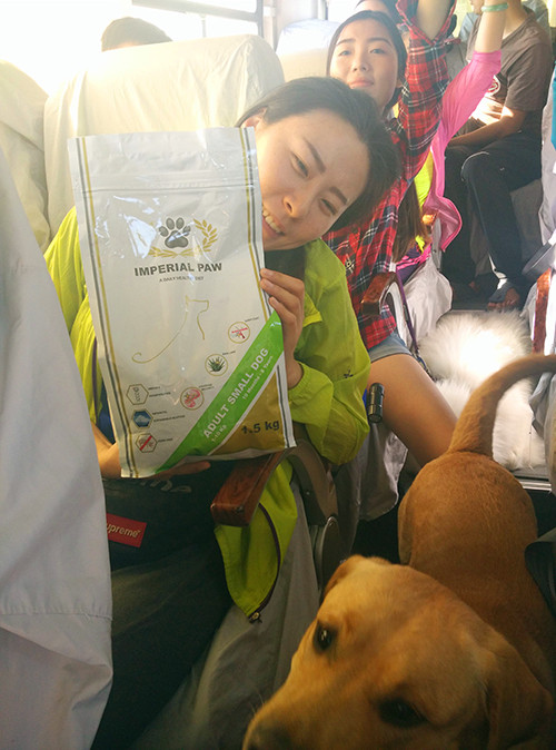 嬉水节巡游活动现场,嬉水节活动总结