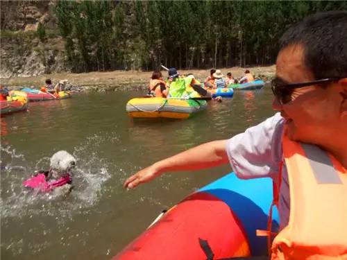 嬉水节巡游活动现场,嬉水节活动总结