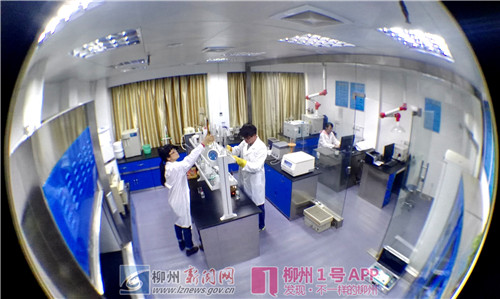 白蚁防治的检查标准是什么,科普知识白蚁预防