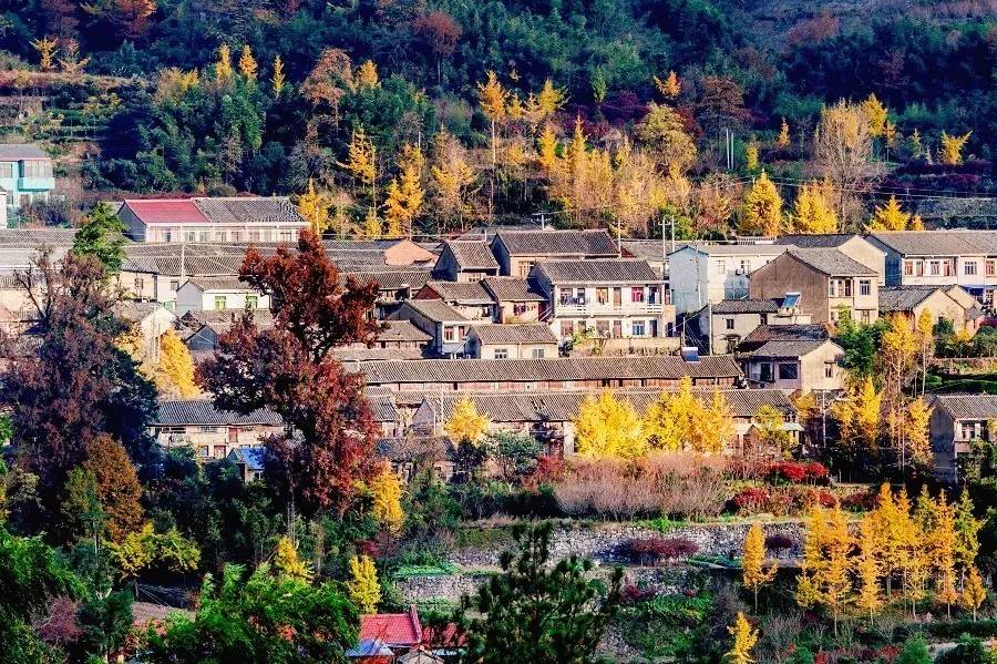 秒杀旅行第二弹|11个爆款脱单地，剁手价￥11诗画浙江任你游！