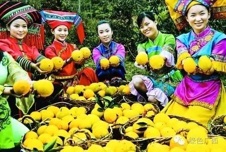 广西德保枫叶什么时候去最好看,2018年德保枫叶最佳观赏期